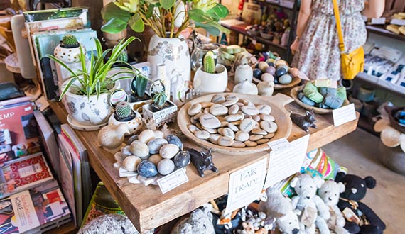 A number of decorative gemstones and pot plants displayed on a wooden bench