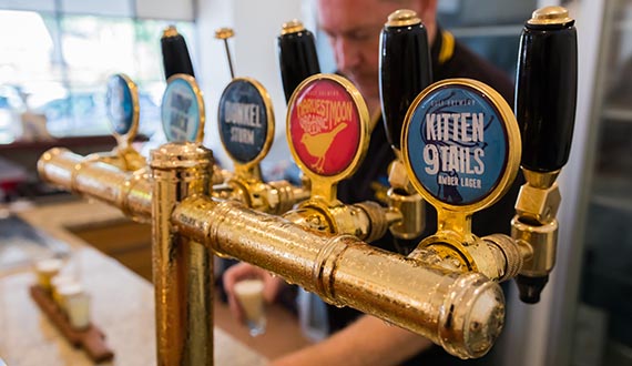 Four tap beer displayed with gold piping