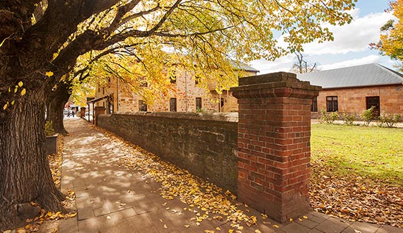 An old brick wall lines a large building next to an Autumn street