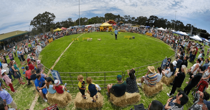 Meadows_Country_Fair