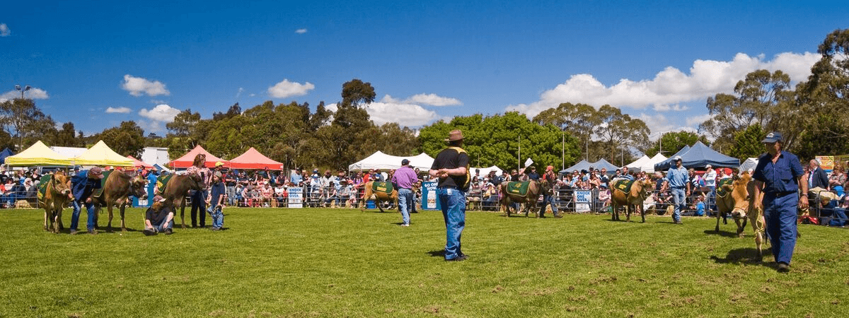 Meadows_Country_Fair_Community