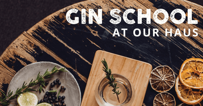 Gin_School_Feature